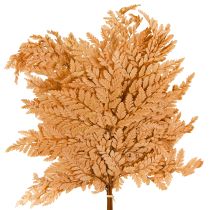 categoria Paus, gravetos e galhos