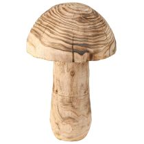categoria Folhagem, folhas e cogumelos