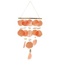 categoria Decoração de conchas