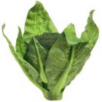 categoria Decoração vegetal