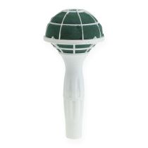 categoria Espuma floral em formas redondas