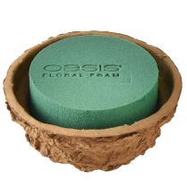 categoria Espuma floral em formas redondas