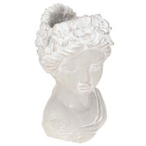 categoria Cachepots de cerâmica