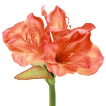 categoria Flores de seda e pinheiros