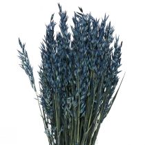 Itens Flores secas, aveia grão seco decoração azul 68cm 230g