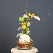 Itens Ovo de avestruz natureza soprada decoração vazia