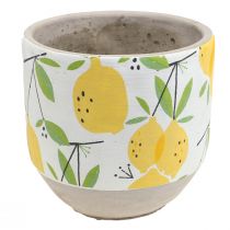 Itens Plantador vaso de flores de limão decorativo verão H17cm