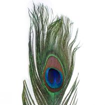 Penas de pavão penas decorativas para elaboração de penas de pássaros H78cm 10 unidades