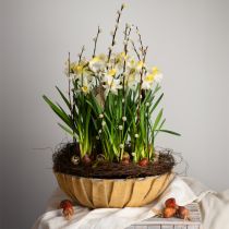 Itens Floreira redonda, decoração de flores, tigela de plástico, vaso para arranjos verde, manchado de branco Alt.8,5cm Ø30cm