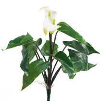 Calla Lily Kalla Flores Artificiais Brancas Flores Exóticas 34cm