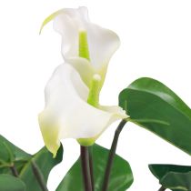 Itens Calla Lily Kalla Flores Artificiais Brancas Flores Exóticas 34cm
