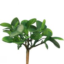 Itens Planta verde artificial suculenta verde artificial Alt.14cm