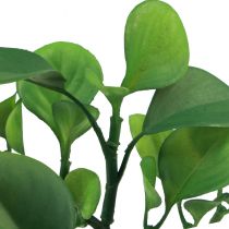Planta verde artificial suculenta verde artificial Alt.14cm
