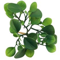 Itens Planta verde artificial suculenta verde artificial Alt.14cm