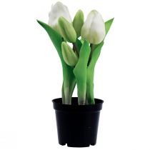 Itens Tulipas artificiais em vaso Tulipas brancas flores artificiais 22cm