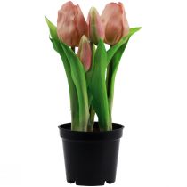 Itens Tulipas artificiais em vaso Tulipas Pêssego flores artificiais 22cm