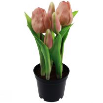 Itens Tulipas artificiais em vaso Tulipas Pêssego flores artificiais 22cm