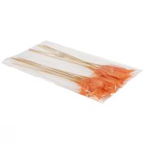 Itens Penas decorativas penas de pássaro laranja em palito 36 cm 12 unidades