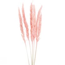 Erva dos pampas deco, capim dos pampas seco capim dos pampas rosa 72 cm 6 pçs