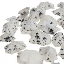 Shell Deco Shells Branco Preto Pequeno 1-2,5cm 250g