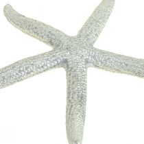Estrela do mar prata decoração marítima estrela do mar decoração verão 7,5 cm 10 peças