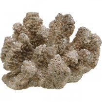Decoração marítima, animal marinho, decoração coral poliresina 13,5x11,5cm