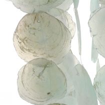 Capiz carrilhão de vento decoração pendente decoração concha verde Ø29cm 160cm