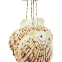 Conchas para pendurar decoração marítima Carrilhão de vento marítimo 74cm