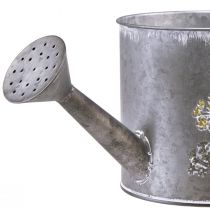 Itens Regador decorativo de metal para plantio de vaso de 13,5cm