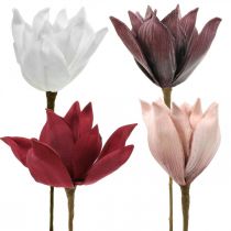 Flor artificial de magnólia em bastão Ø10cm Espuma 6 unidades Cores diferentes