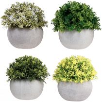 Itens Plantas artificiais Buxo artificial 12,5 cm × Ø12 cm 4 unidades