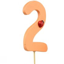 Itens Plugues numéricos aniversário 2 plugues de flores madeira 27,5cm 16 un