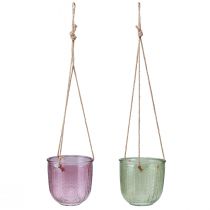 Itens Lanterna de vidro para vaso de flores para pendurar verde roxo 14 cm 2 unidades