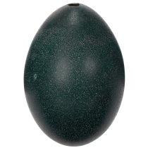 Itens Decorações Emuei para uma decoração festiva em casa e detalhes elegantes para a Páscoa.