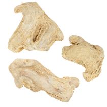 Itens Decoração de Gengibre Seco Decoração Natural 500g