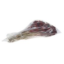 Itens Achillea 1kg vinho tinto