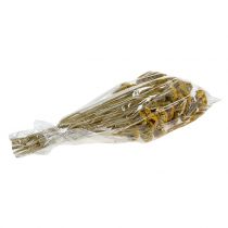 Itens Achillea 500g natural