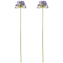 Itens Agapanthus Lírio Africano Flores Artificiais Roxas L75cm 2pcs