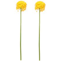 Itens Cebola Artificial Flor Amarela Allium 80cm Ø14,5cm 2pcs