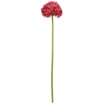 Itens Allium em alho ornamental artificial Bordeaux Ø18cm C90cm
