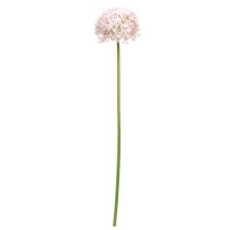 Itens Allium com cebola artificial de flores rosa Ø18cm C90cm