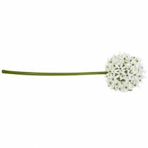 Itens Flor decorativa Allium, bola de alho-poró artificial, cebola decorativa branca Ø20cm C72cm