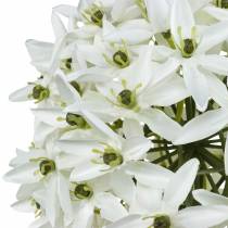 Itens Flor decorativa Allium, bola de alho-poró artificial, cebola decorativa branca Ø20cm C72cm