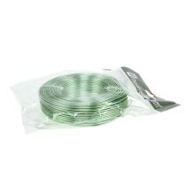 Itens Fio de alumínio 2mm 500g, 60m verde menta - fio para artesanato, decoração, arranjos florais e modelismo.