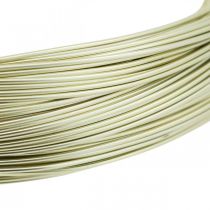 Itens Fio de alumínio Ø1mm fio de joalheria champanhe redondo 120g
