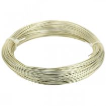 Itens Fio de alumínio Ø1mm fio de joalheria champanhe redondo 120g