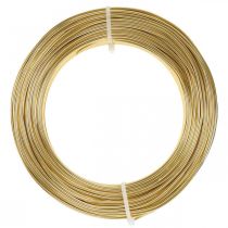 Itens Fio flexível de alumínio dourado de 2 mm - Fio para artesanato, joias e decoração - Robusto e dimensionalmente estável 500 g 60 m