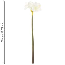 Itens Flor artificial de amarílis branca, com haste, para o Advento e Natal, 50 cm