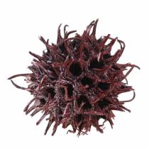 Itens Cones de lima-doce vermelhos foscos 250g