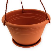 Itens Cesto suspenso Galicia Ø30cm terracota